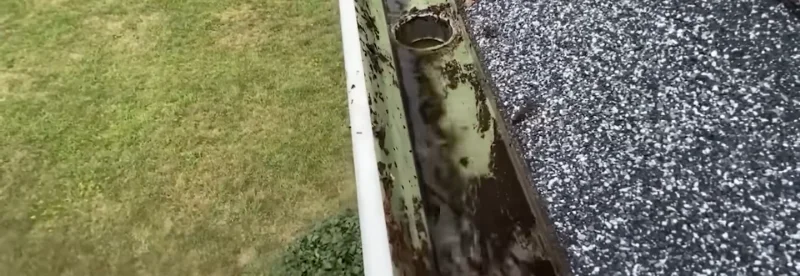 Gutter guard mesh installed over a gutter trough in Anderson, SC, with debris sitting on top of the guard
