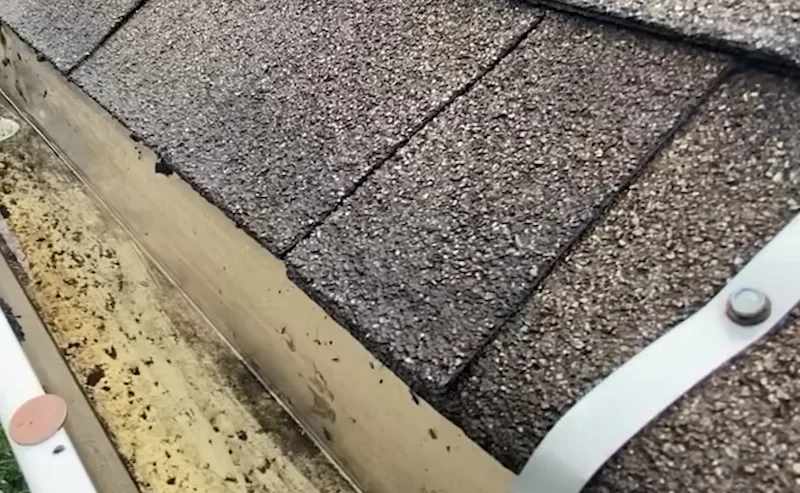 Downspout tested and cleared after gutter cleaning in Anderson, SC