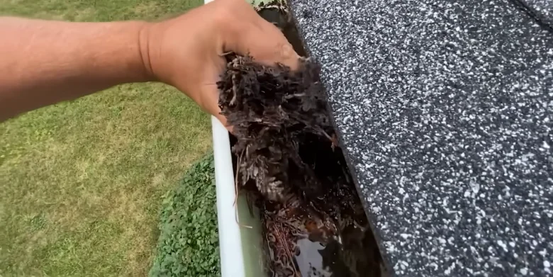 Gutter packed with pine straw before a cleaning in Anderson, SC