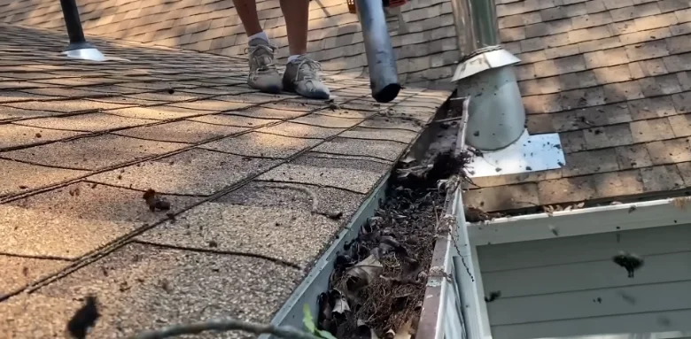 Gutter clogged with pine straw and leaf debris before cleaning in Anderson, SC