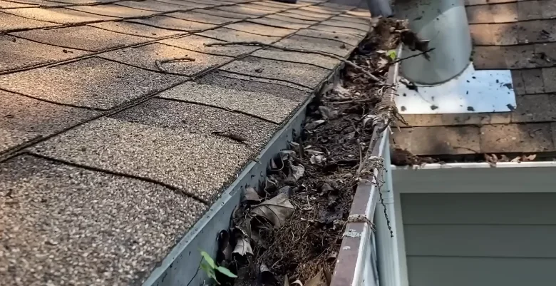 Gutter clogged with pine straw and leaf debris before cleaning in Anderson, SC
