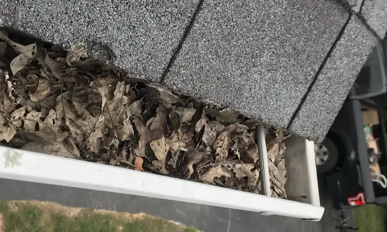 Gutter clogged with pine straw and leaf debris before cleaning in Anderson, SC