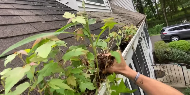 Technician hand-clearing gutter debris during a gutter cleaning job in Anderson, SC